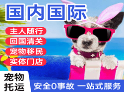 集宁机场托运国际宠物托运 【国